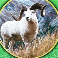 لوگوی کله سرای افق - طباخی