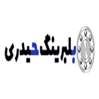 لوگوی فروشگاه بلبرینگ حیدری - فروش بلبرینگ و کاسه نمد خودرو