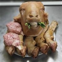 طباخی علی 110