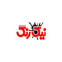 لوگوی نیک رنگ - رنگ و مواد اولیه پلاستیک