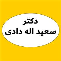 دکتر سعید اله دادی
