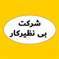 لوگوی شرکت بی نظیرکار - نوار چسب