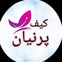 لوگوی فروشگاه کبف پرنیان - فروش کیف و چمدان