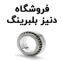 لوگوی فروشگاه دنیز بلبرینگ - فروش بلبرینگ و کاسه نمد خودرو