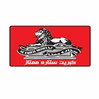 لوگوی شرکت کبریت ستاره ممتاز و نئوپان ممتاز - تولید و پخش کبریت