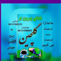 لوگوی رستوران گلچین