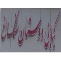 لوگوی کبابی دوستان - کبابی و جگرکی