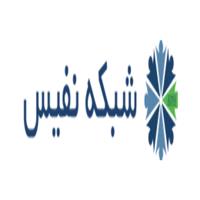 لوگوی شبکه نفیس - بازاریابی دیجیتال