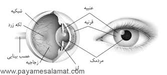 دکتر فرشید پرکار - چشم پزشک شماره 3