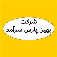 لوگوی شرکت بهین پارس سرآمد - فروش روغن صنعتی