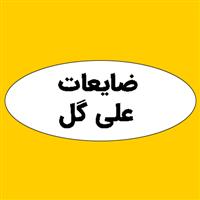 لوگوی ضایعات علی گل - ضایعات فلزات