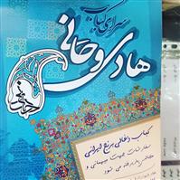 لوگوی سرای کباب هادی و حانی - کبابی و جگرکی