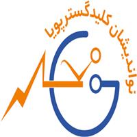 لوگوی شرکت نواندیشان کلید گستر پویا - اتوماسیون صنعتی