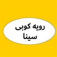 لوگوی کارگاه سینا - رویه کوبی مبل