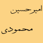 لوگوی محمودی - فوق تخصص شبکیه