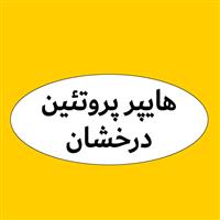 لوگوی هایپر پروتئین درخشان طیور - مرغ فروشی