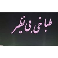 لوگوی طباخی بی نظیر