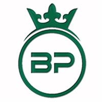 لوگوی فروشگاه پانیذ - فروش کیف و کفش