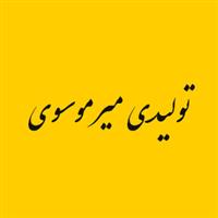 لوگوی میرموسوی - تولید نایلون و نایلکس