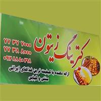 لوگوی کترینگ زیتون - تهیه غذا