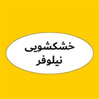 لوگوی خشکشویی نیلوفر