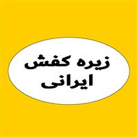 لوگوی فروشگاه ایرانی - زیره کفش