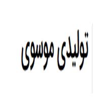 لوگوی تولیدی موسوی - تولید نایلون و نایلکس