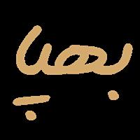 لوگوی تولیدی بهپا - تولید کفش