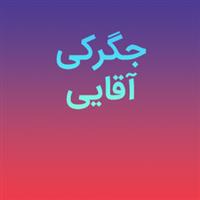 لوگوی کبابی آقایی - کبابی و جگرکی