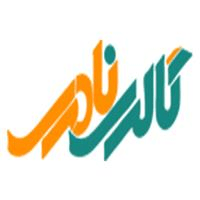 لوگوی فروشگاه نادری - فروش کیف و کفش
