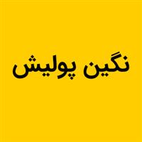 لوگوی شرکت نگین پولیش - قالب سازی صنعتی