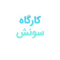 لوگوی کارگاه تولیدی سونش - قالب سازی پلاستیک