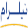 لوگوی شرکت داده پردازی نیلرام - خدمات کامپیوتر