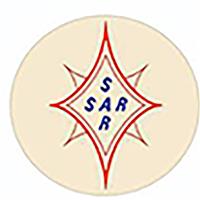 لوگوی عالی رنگ - رنگ و مواد اولیه پلاستیک