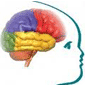لوگوی کلینیک فوق تخصصی راد - کلینیک روانپزشکی