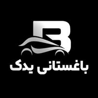 لوگوی فروشگاه باغستانی یدک - فروش لوازم یدکی خودرو