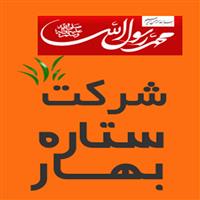 لوگوی هلدینگ ستاره بهار - پخش مواد غذایی