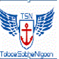 لوگوی طلوع صبح نیلگون - حمل و نقل بین المللی