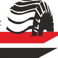 لوگوی تایر سیمین - فروش رینگ و لاستیک خودرو