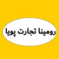 رومینا تجارت پویا (مبعث)
