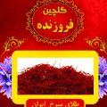 لوگوی بسته بندی گلچین فروزنده - فروش زعفران