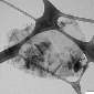 لوگوی آذران پلیمر نانو کیمیا - نانو تکنولوژی