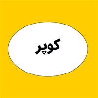 لوگوی برق و صنعت کوپر - فروش تجهیزات برق صنعتی یا ساختمانی