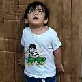 لوگوی قربانی - پارچه تریکو