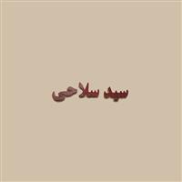 بازرگانی سیدسلاحی