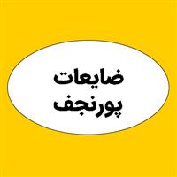 لوگوی ضایعات پورنجف - ضایعات آهن