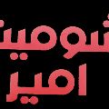 لوگوی شومینه امیر