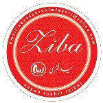 لوگوی گروه زیبا - فروش نایلون و نایلکس