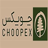 لوگوی چوپکس - دکوراسیون داخلی ساختمان