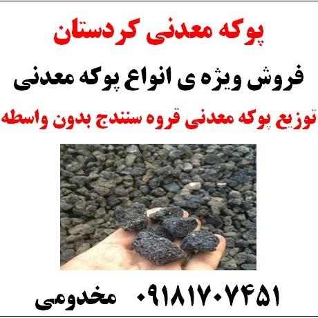 لوگو